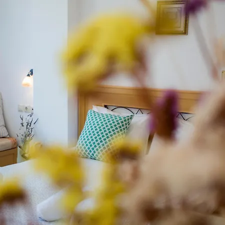 호텔 The Artemis Agia Anna (Naxos)