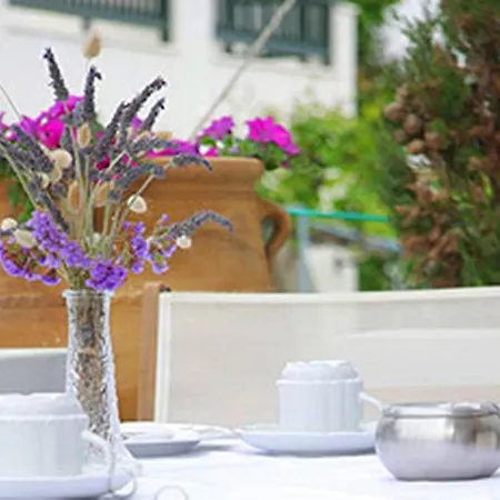 The Artemis Agia Anna (Naxos)