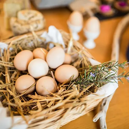 The Artemis מלון